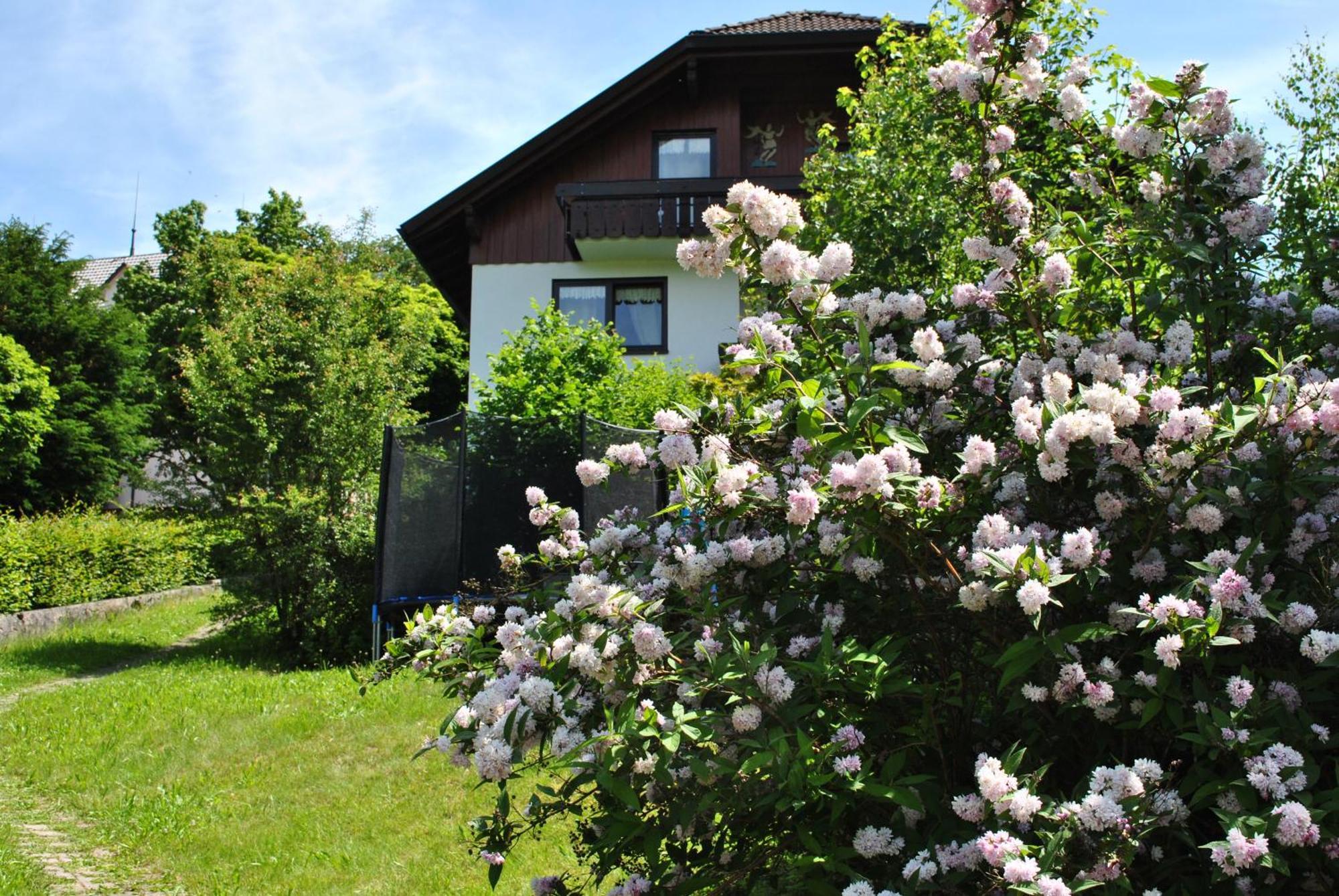 Goldener Hahn B&B Baiersbronn - Ferienwohnungen Mit Hotel Service Nahe Gartenschau Tal X Δωμάτιο φωτογραφία
